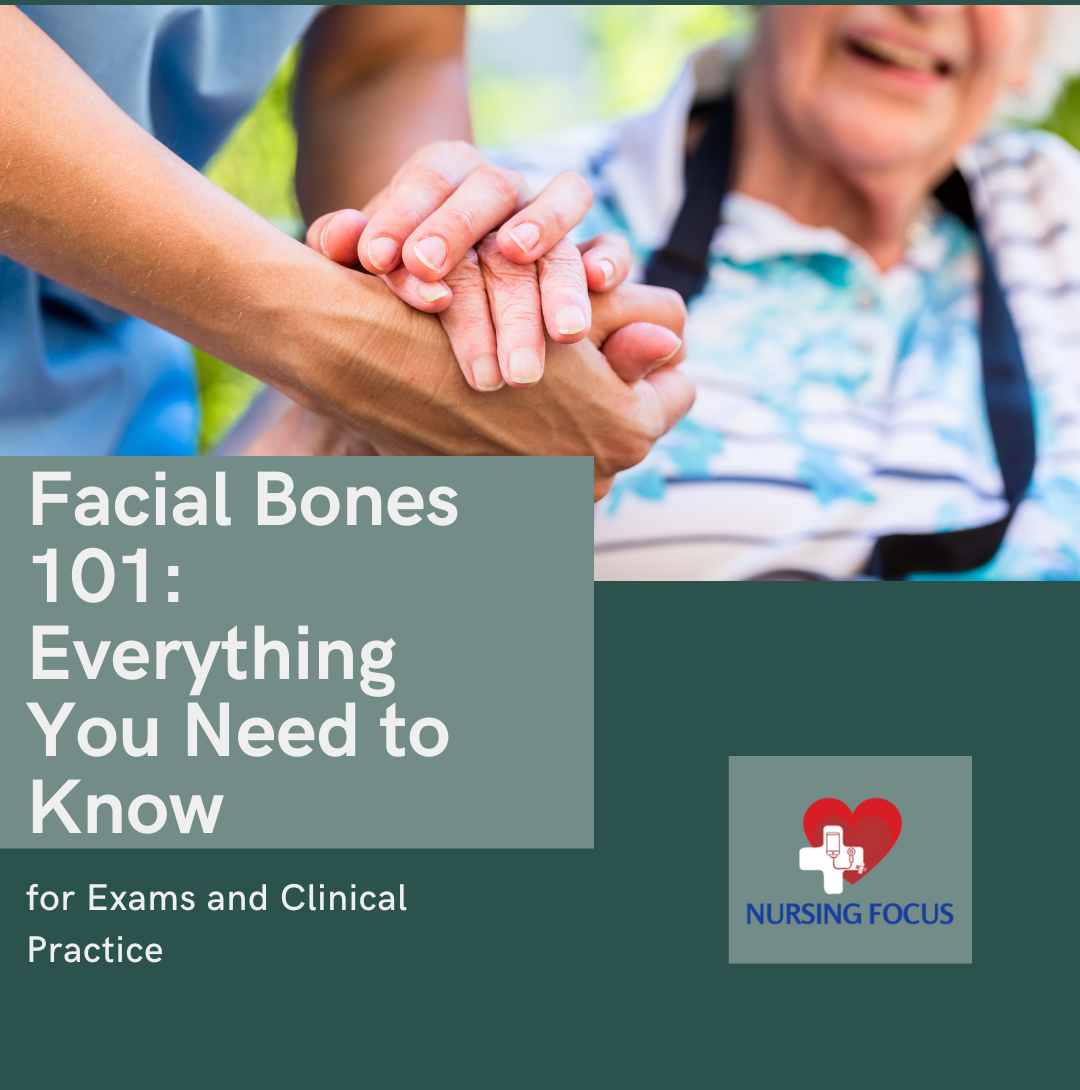 Facial Bones 101: Everything You Need To Know For Exams And Clinical P ...