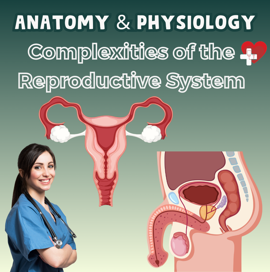 Complexities of the Reproductive System – Nursing Focus