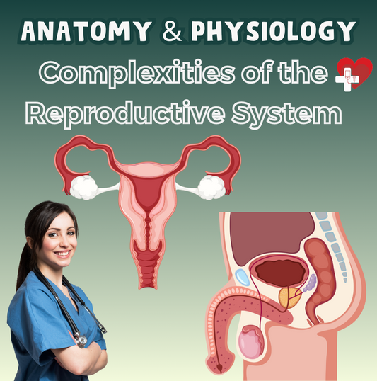 Complexities of the Reproductive System