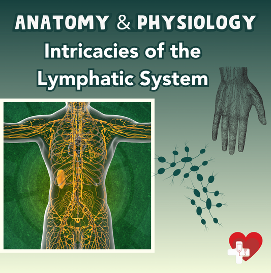 Intricacies of the Lymphatic System