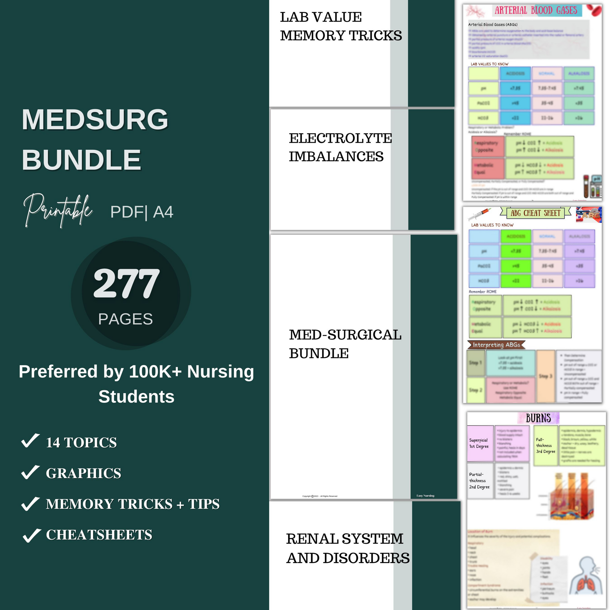 The Ultimate Nursing School Bundle | Spiral + Digital