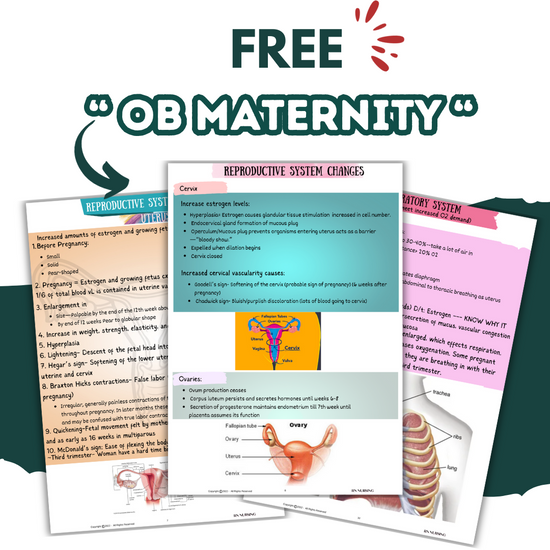 Download OB Maternity Study Guide