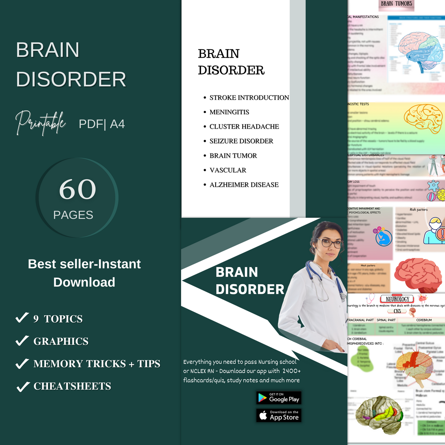 Brain Disorder Study Guide