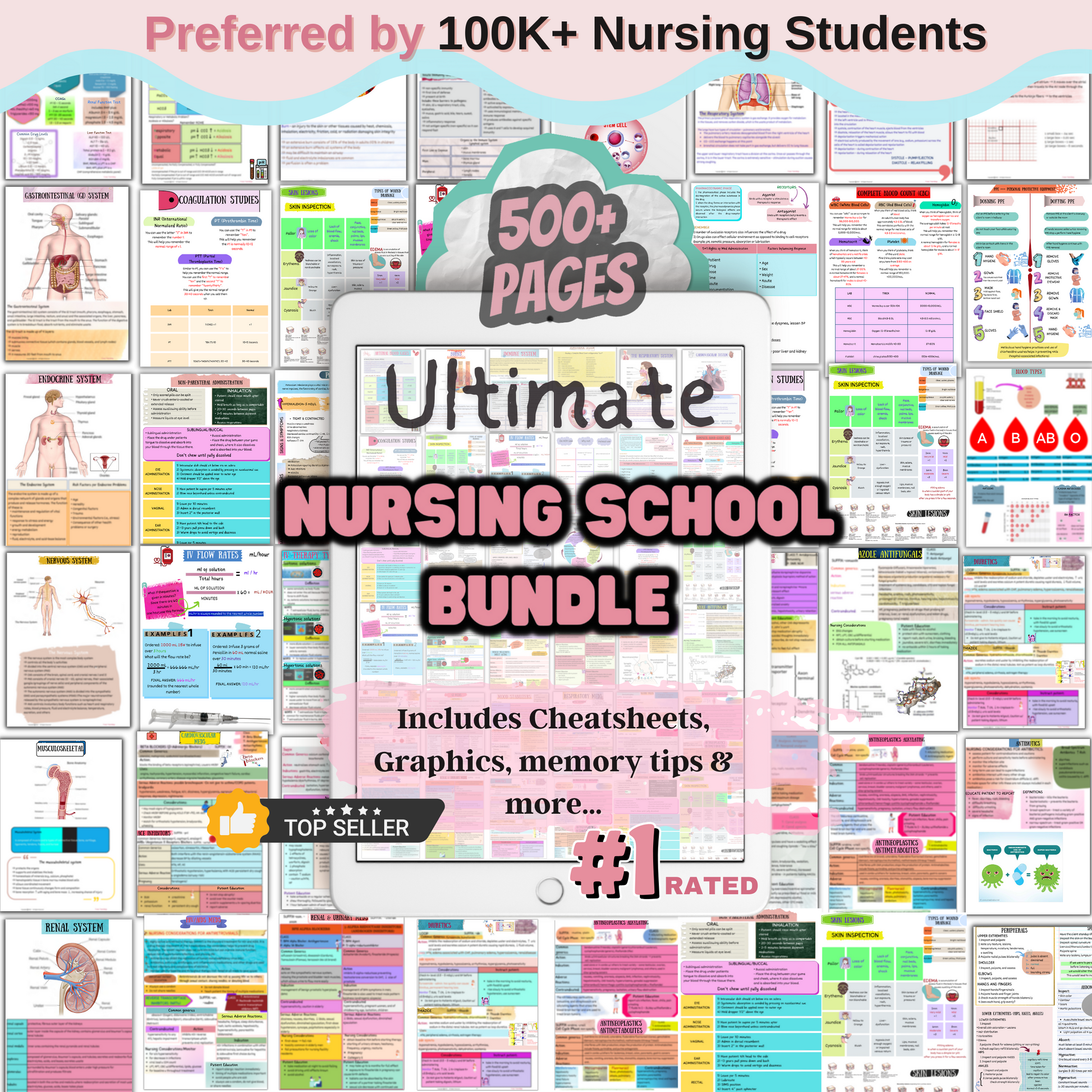 The Ultimate Nursing School Bundle | Spiral + Digital